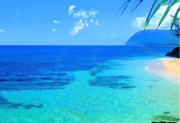 Hawaii beach